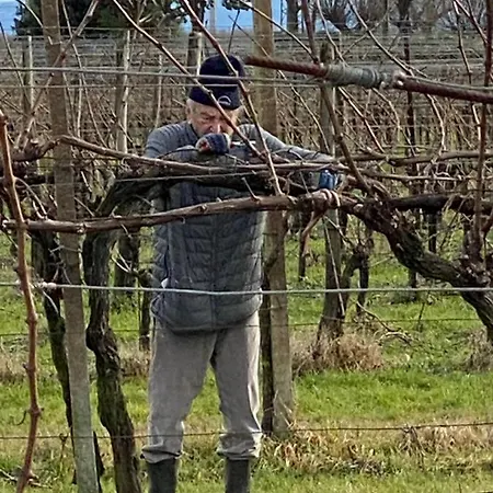Lägenhet Girardi Gorizia